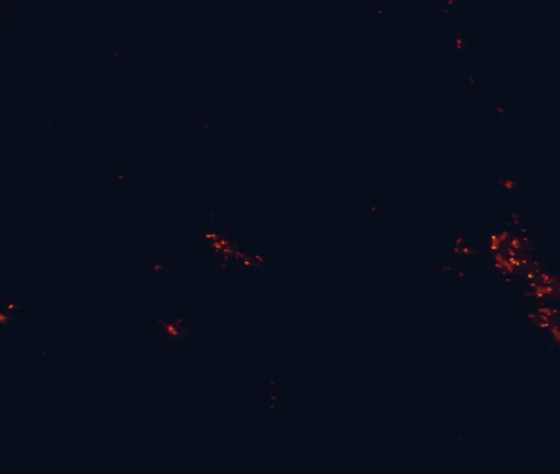 Satellite night-light map of the 100 km around Goulburn River National Park, with Muswellbrook and Mudgee marked