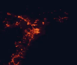 Satellite night-light map of the 50 km around Newcastle, with Maitland, New Lambton and Cessnock marked
