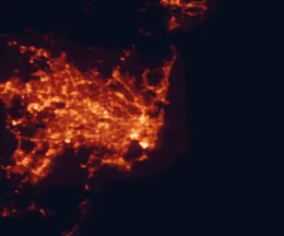 Satellite night-light map of the 50 km around Sydney, with Parramatta, Zetland and Liverpool marked