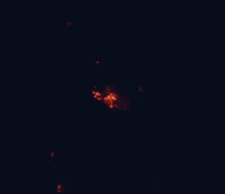 Satellite night-light map around Tamworth