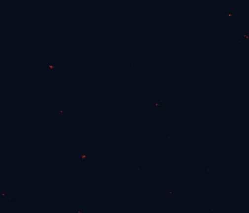 Satellite night-light map around Warrumbungle National Park