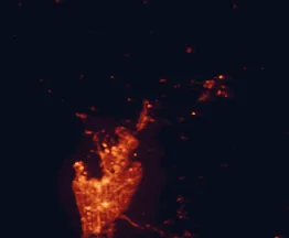 Satellite night-light map of the 50 km around Gawler, with Adelaide, Adelaide Hills and Prospect marked
