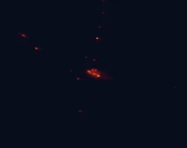 Satellite night-light map around Mount Gambier