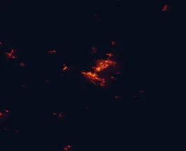 Satellite night-light map of the 50 km around Wodonga, with Albury, Beechworth and Corowa marked