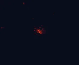 Satellite night-light map around Albany