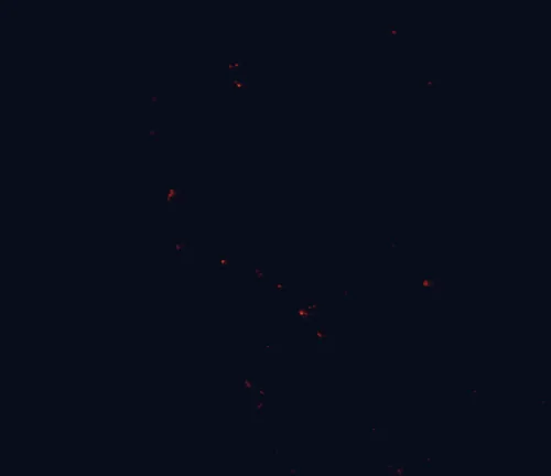 Satellite night-light map around Badgingarra National Park