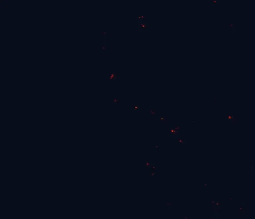 Satellite night-light map around Nambung National Park