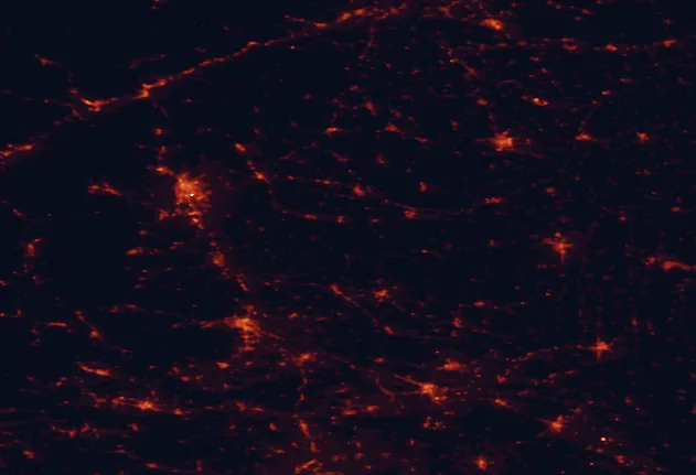 Satellite night-light map of the 100 km around Raab-Őrség-Goričko Nature Park, with Graz, Maribor and Szombathely marked
