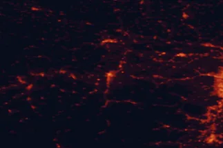 Satellite night-light map of the 50 km around Sankt Pölten, with Wiener Neustadt, Krems an der Donau and Baden marked