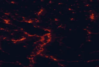 Satellite night-light map of the 50 km around Bregenz, with Dornbirn, Sankt Gallen and Friedrichshafen marked
