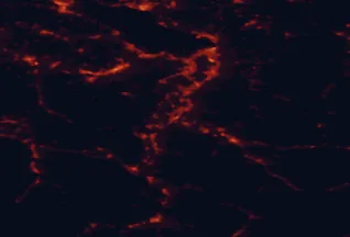 Satellite night-light map of the 50 km around Feldkirch, with Sankt Gallen, Dornbirn and Konstanz marked