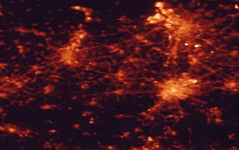 Satellite night-light map of the 50 km around Aalst, with Brussels, Antwerp and Gent marked