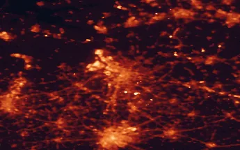 Satellite night-light map of the 50 km around Antwerp, with Brussels, Deurne and Breda marked
