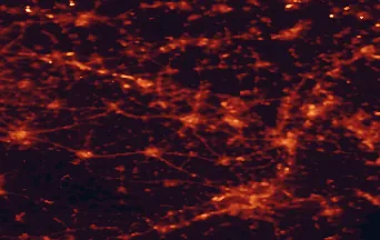 Satellite night-light map of the 50 km around Hasselt, with Liège, Maastricht and Genk marked