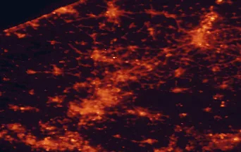 Satellite night-light map of the 50 km around Kortrijk, with Lille, Gent and Tourcoing marked