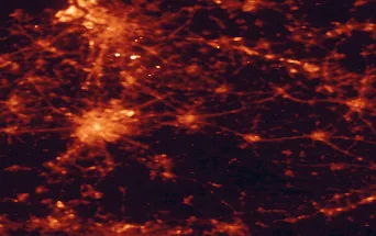Satellite night-light map of the 50 km around Leuven, with Brussels, Antwerp and Anderlecht marked