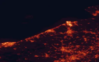 Satellite night-light map of the 50 km around Ostend, with Brugge, Dunkirk and Roeselare marked