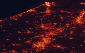 Satellite night-light map of the 50 km around Roeselare, with Lille, Gent and Brugge marked
