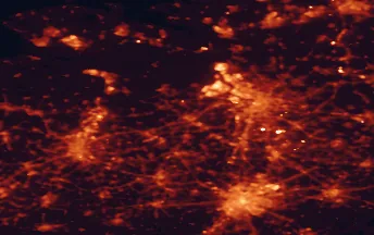 Satellite night-light map of the 50 km around Sint-Niklaas, with Brussels, Antwerp and Gent marked