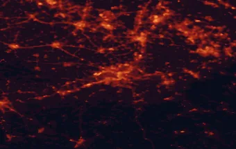 Satellite night-light map of the 50 km around Liège, with Aachen, Seraing and Maastricht marked