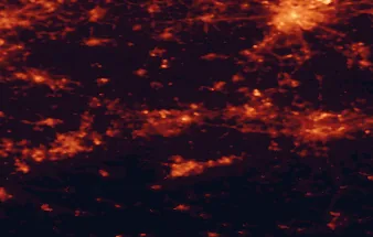 Satellite night-light map of the 50 km around Mons, with Brussels, Charleroi and La Louvière marked