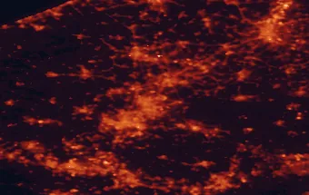 Satellite night-light map of the 50 km around Mouscron, with Lille, Roubaix and Gent marked