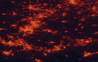 Satellite night-light map of the 50 km around Tournai, with Lille, Roubaix and Tourcoing marked