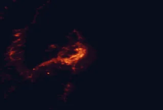 Satellite night-light map of the 50 km around St. John's, with Mount Pearl, Paradise and Conception Bay South marked
