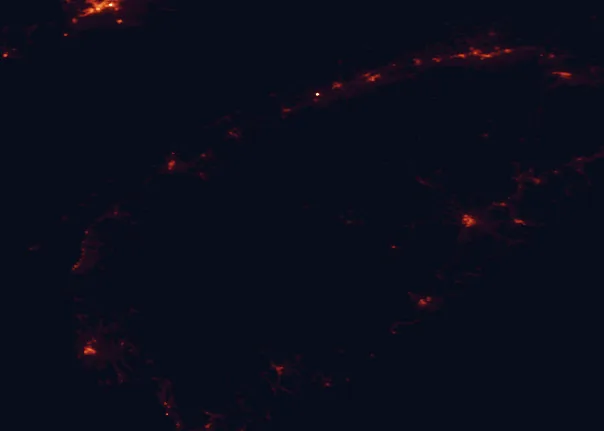 Satellite night-light map of the 100 km around Kejimkujik National Park, with Bridgewater and Kentville marked