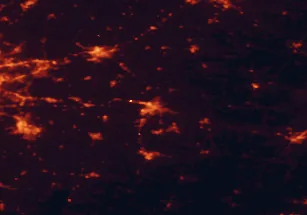 Satellite night-light map of the 50 km around Granby, with Saint-Jean-sur-Richelieu, Saint-Hyacinthe and Sainte-Julie marked