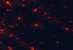 Satellite night-light map of the 50 km around Bjelovar, with Koprivnica, Varaždin and Križevci marked