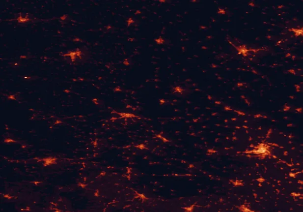 Satellite night-light map of the 100 km around Kopački Rit Nature Park, with Novi Sad, Osijek and Pécs marked