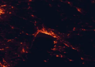 Satellite night-light map of the 50 km around Rijeka, with Kastav, Kostrena and Opatija marked