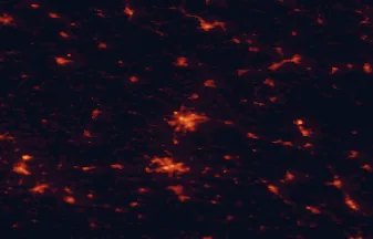 Satellite night-light map of the 50 km around Hradec Králové, with Pardubice, Chrudim and Trutnov marked