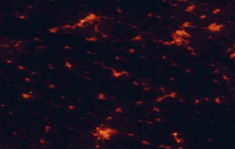 Satellite night-light map of the 50 km around Trutnov, with Wałbrzych, Hradec Králové and Jelenia Góra marked