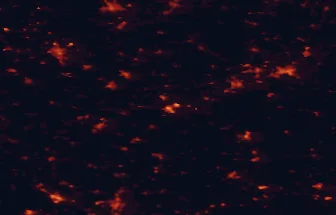 Satellite night-light map of the 50 km around Cheb, with Plauen, Hof and Karlovy Vary marked
