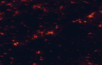 Satellite night-light map of the 50 km around Karlovy Vary, with Chomutov, Ostrov and Sokolov marked