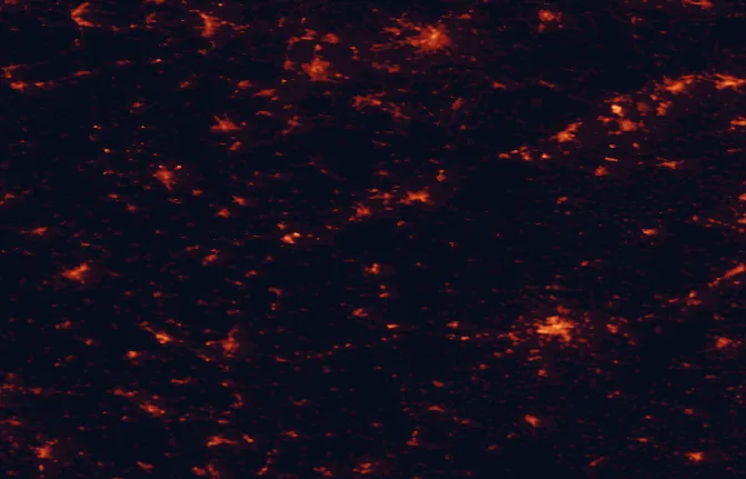 Satellite night-light map of the 100 km around Slavkovský les Protected Landscape Area, with Pilsen, Chemnitz and Karlovy Vary marked