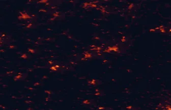 Satellite night-light map of the 50 km around Sokolov, with Karlovy Vary, Plauen and Cheb marked