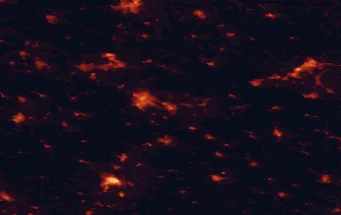 Satellite night-light map of the 50 km around Jablonec nad Nisou, with Liberec, Jelenia Góra and Mladá Boleslav marked