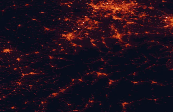 Satellite night-light map of the 100 km around the Beskydy Dark Sky Park, with Ostrava, Katowice and Bielsko-Biala marked