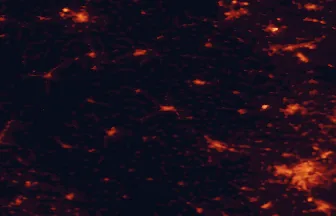 Satellite night-light map of the 50 km around Krnov, with Ostrava, Opava and Racibórz marked