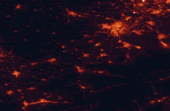 Satellite night-light map of the 50 km around Nový Jičín, with Ostrava, Havířov and Frýdek-Místek marked