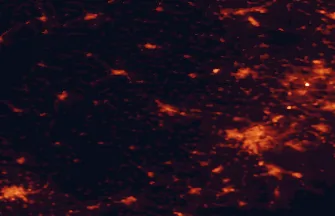 Satellite night-light map of the 50 km around Opava, with Ostrava, Rybnik and Havířov marked