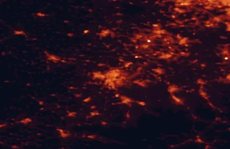 Satellite night-light map of the 50 km around Ostrava, with Havířov, Rybnik and Jastrzębie Zdrój marked