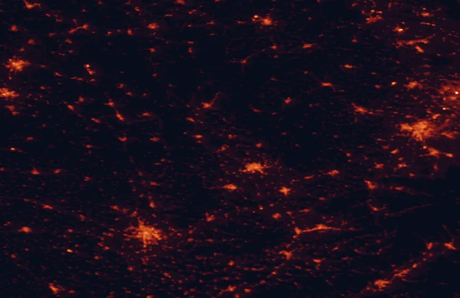 Satellite night-light map of the 100 km around Litovelské Pomoraví Protected Landscape Area, with Brno, Olomouc and Ostrava marked