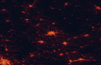 Satellite night-light map of the 50 km around Olomouc, with Brno, Prostějov and Přerov marked