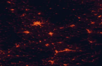 Satellite night-light map of the 50 km around Přerov, with Olomouc, Zlín and Prostějov marked