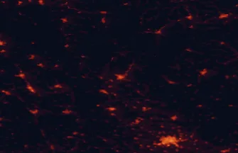 Satellite night-light map of the 50 km around Šumperk, with Olomouc, Zábřeh and Prudnik marked