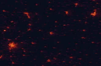 Satellite night-light map of the 50 km around Jindřichův Hradec, with České Budějovice, Jihlava and Tábor marked